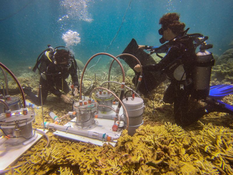 r4wo-scientific-study-prony-bay-fanny-houlbreque-and-ricardo-rodolfo-metalpa-exposing-corals-to-microplastics-new-caledonia-feb-2019-photo-peter-charaf-gopr1857-web-1024x768.jpg
